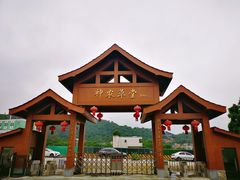 -广州神农草堂中医药博物馆