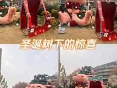 -中海环宇荟