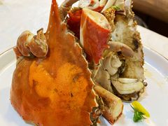生煎东港公蟹-渔娘渔家丹东海鲜(东直门店)