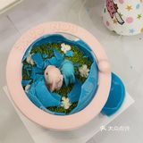 大开眼界的星座生日蛋糕
