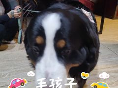-沈阳大商千盛购物中心有限公司(长江街店)
