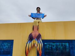 -秦皇岛乐岛海洋王国