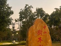 -中山市树木园