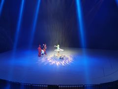 -重庆国际马戏城