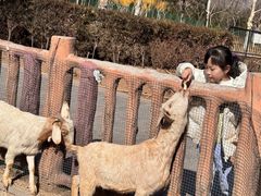 -石家庄市动物园