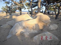 -老虎石海上公园