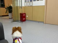 -康成宠物医院24H·CT·核磁共振