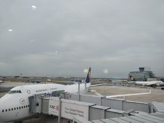 -德国汉莎航空公司