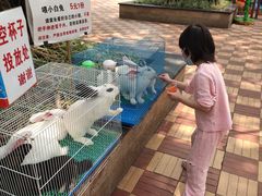-东风公园