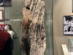 -辽沈战役纪念馆