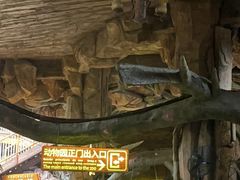 -长鹿旅游休博园