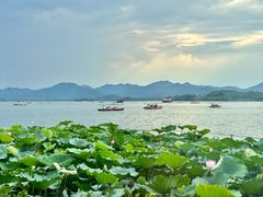 -湖畔居茶楼(湖滨店)