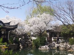-巡塘古镇