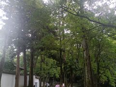 -白鹿洞书院