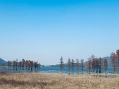 -四明湖