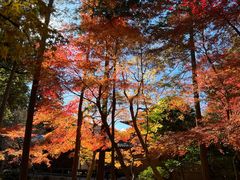 -西芳寺(苔寺)