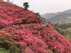 -木兰云雾山
