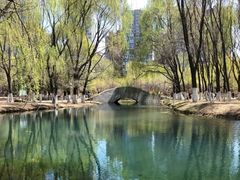 -长白岛森林公园