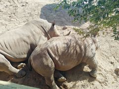 -鄂尔多斯野生动物园