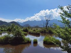 -神农架景区