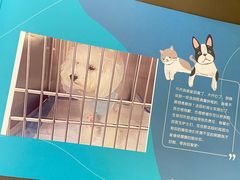 -美联众合动物医院·24h转诊中心