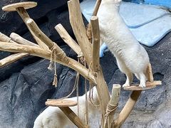 -海合安青岛极地海洋公园