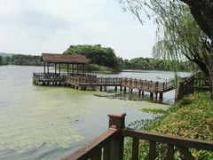 -上海市保健医疗中心(华东疗养院)