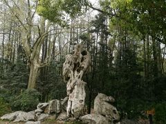 -共青国家森林公园-售票处