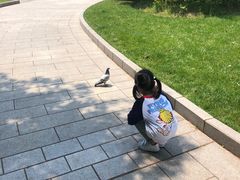 -宋庆龄陵园