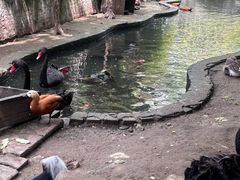 -水绘园
