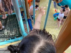 -杭州开元森泊度假乐园