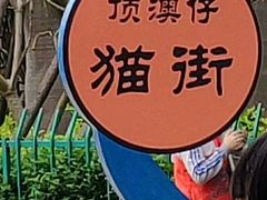 -猫咪博物馆(顶澳仔猫街店)