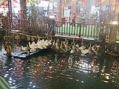 -香山小厨(南联路店)