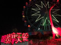 -南京银杏湖乐园