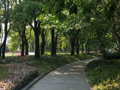 -北外滩滨江绿地