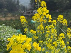 -樱桃山旅游景区