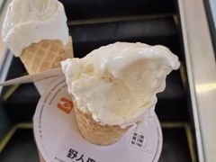 -野人先生现做冰淇淋(北京顺义祥云小镇店)