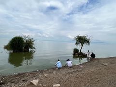 -捞渔河湿地公园