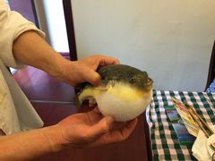 -长顺河豚馆(江洲东路)