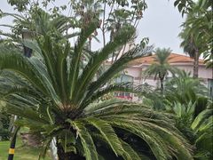 -圣爵菲斯大酒店(长沙世界之窗店)