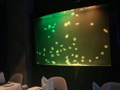 -渔火·特色餐厅(佘山世茂洲际酒店)