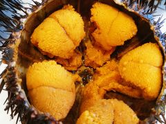 -海胆小馆(东北水饺·春柳店)