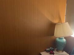 -贵菲·躺式采耳按摩SPA(北辰二分店)