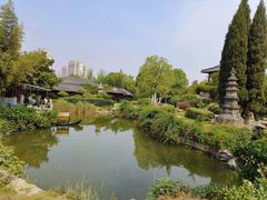 -徐州龟山景区