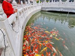 -大明幻境第一城