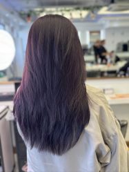 -镁连社·美联社