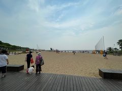 -碧海金沙