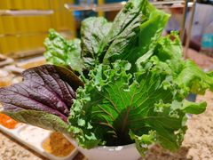 -丰茂烤串(公园店)