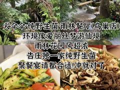 -西双版纳原始森林公园