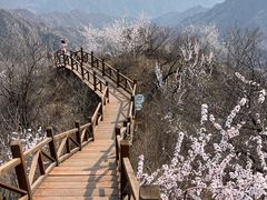 -大岭沟猕猴桃谷风景区